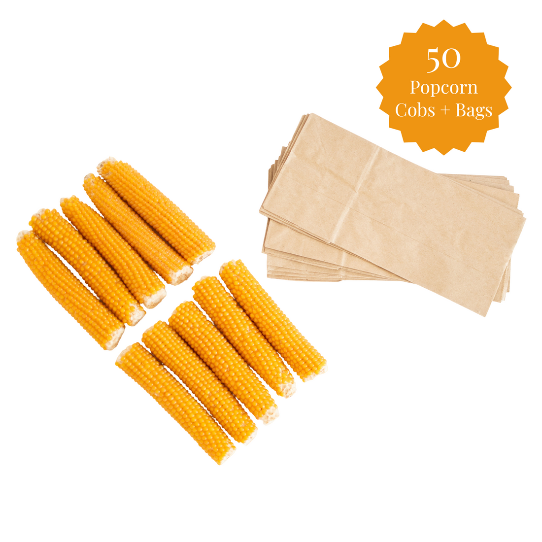 50 popcorn cobs and bags on a white background