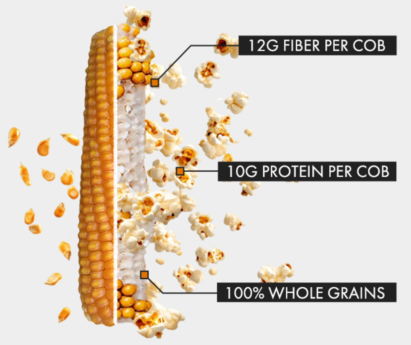 Corn cob with popcorn and text highlighting fiber, protein, and whole grains per cob on a white background.